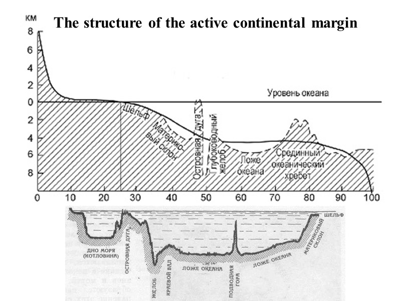 The structure of the active continental margin